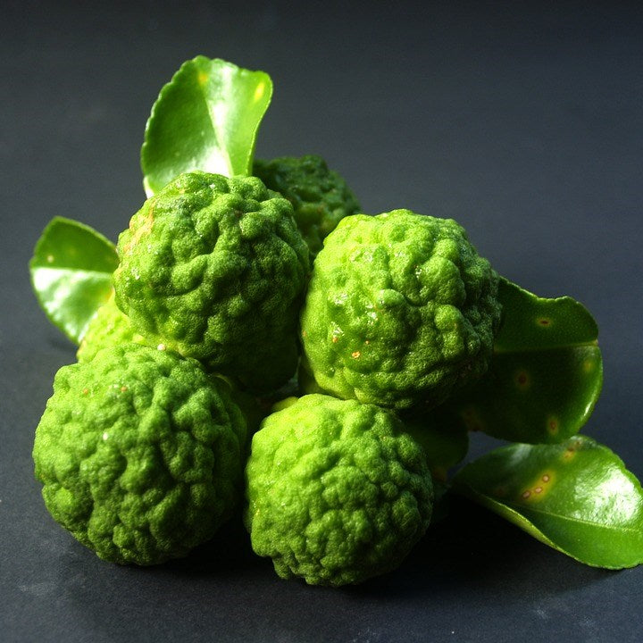 Ingredient Focus: Bergamot